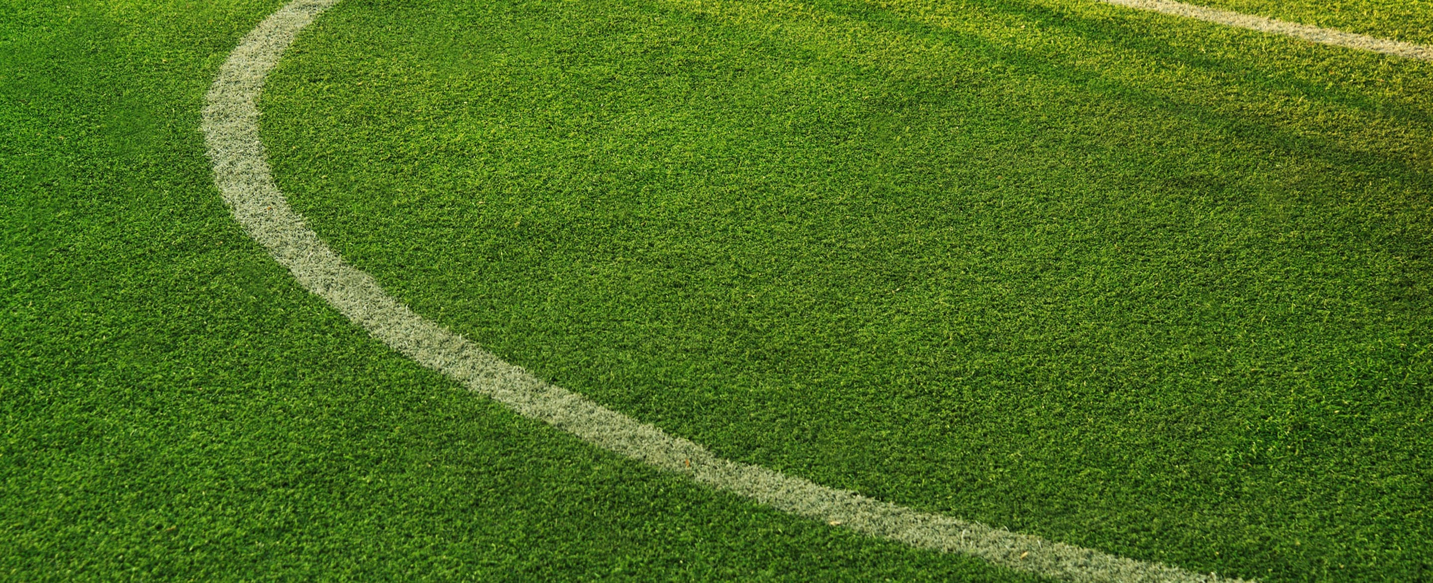 Grass background